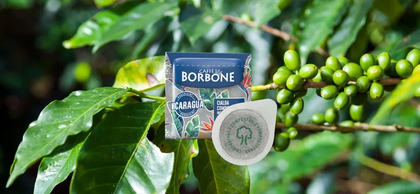 Cialde Caffè Borbone Nicaragua: ESPRESSO LUSSO a prezzo LOW COST