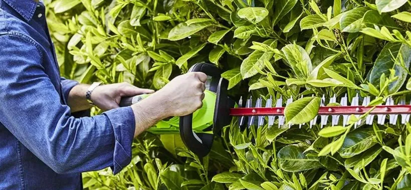 Tagliasiepi a batteria potente e leggero: prezzo imperdibile su Amazon, anche a rate