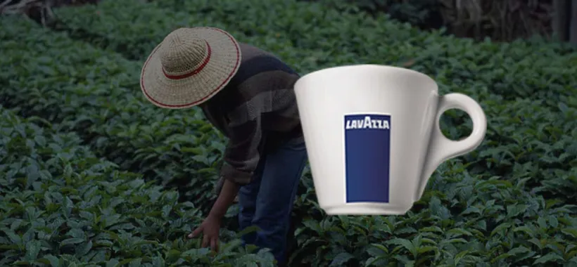 Offerta Bomba per le Capsule Caffè Lavazza Nespresso su eBay