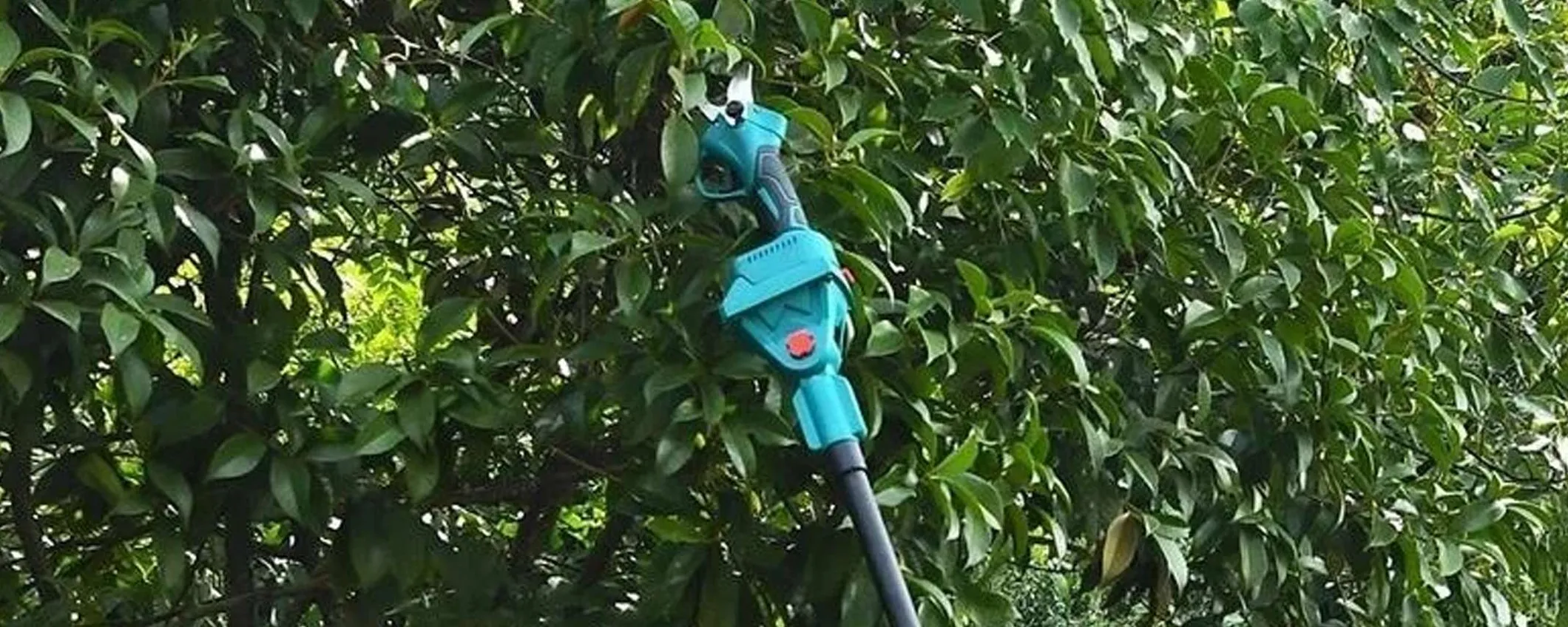 Kit giardinaggio con cesoia e motosega in OFFERTA: è l'affare delle feste eBay
