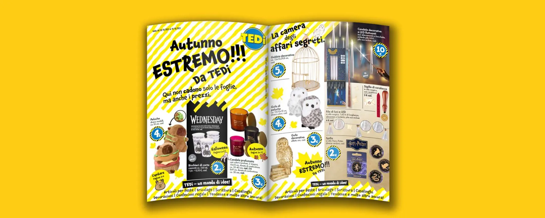 Volantino Tedi, tra piccoli elettrodomestici e Halloween: i prezzi partono da 1€