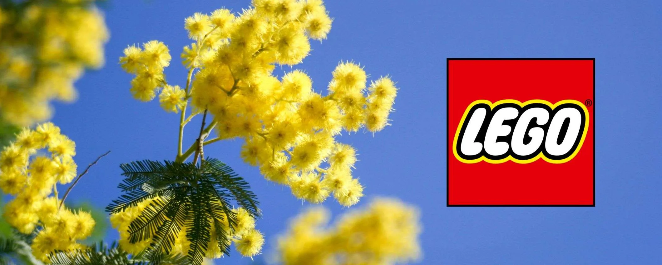 LEGO per la Festa della Donna: 10 set in offerta da REGALARE