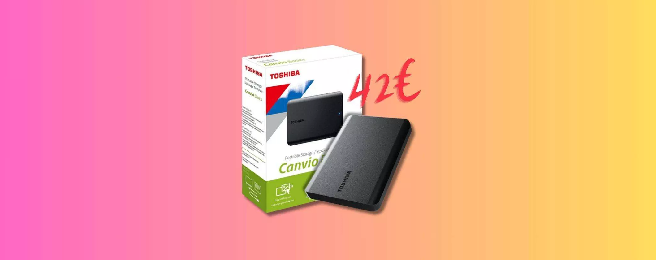 Hard Disk Esterno Toshiba Canvio Basics 1TB a soli 42€ su eBay