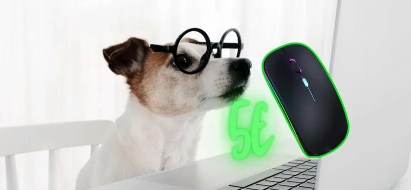 Mouse Wireless ULTRA COMPATTO a soli 5€ su TEMU