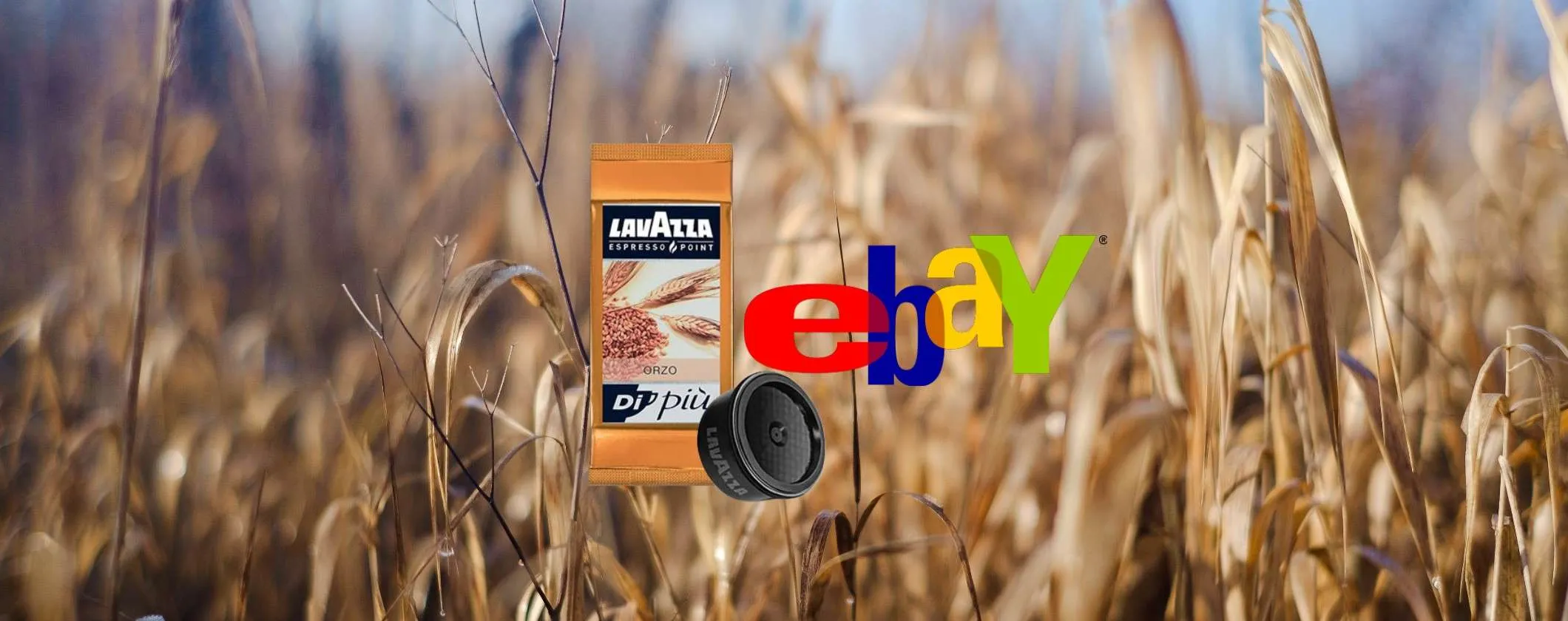 Capsule Lavazza Orzo Espresso Point a prezzo folle su eBay: scopri l'offertona