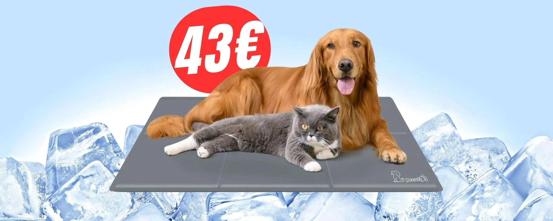 Estate fresca per i tuoi amici a quattro zampe: il tappeto refrigerante XL è in SCONTO!