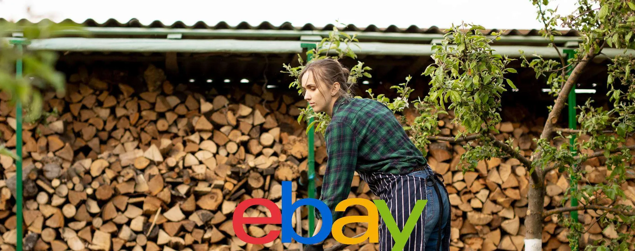 Legna ordinata e sicura per il tuo camino? Queste soluzioni eBay a basso costo sono una genialata