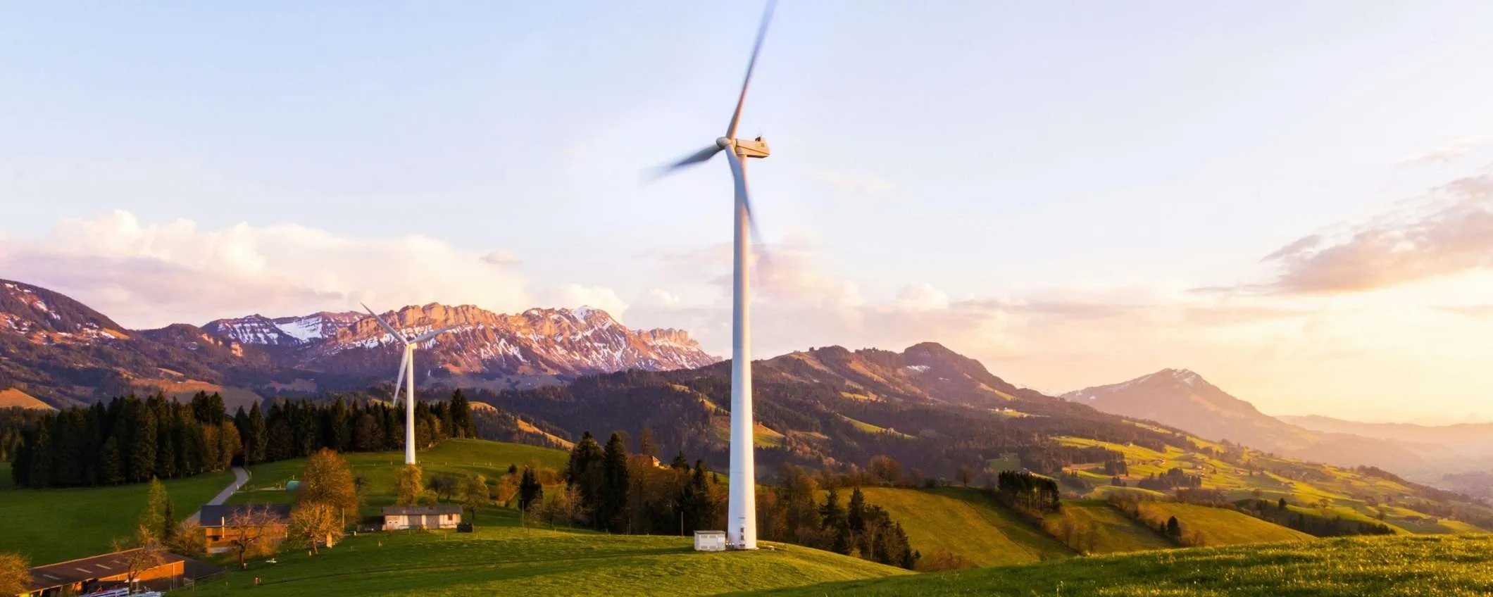 Scopri le tariffe 100% green di Octopus Energy per la tua casa