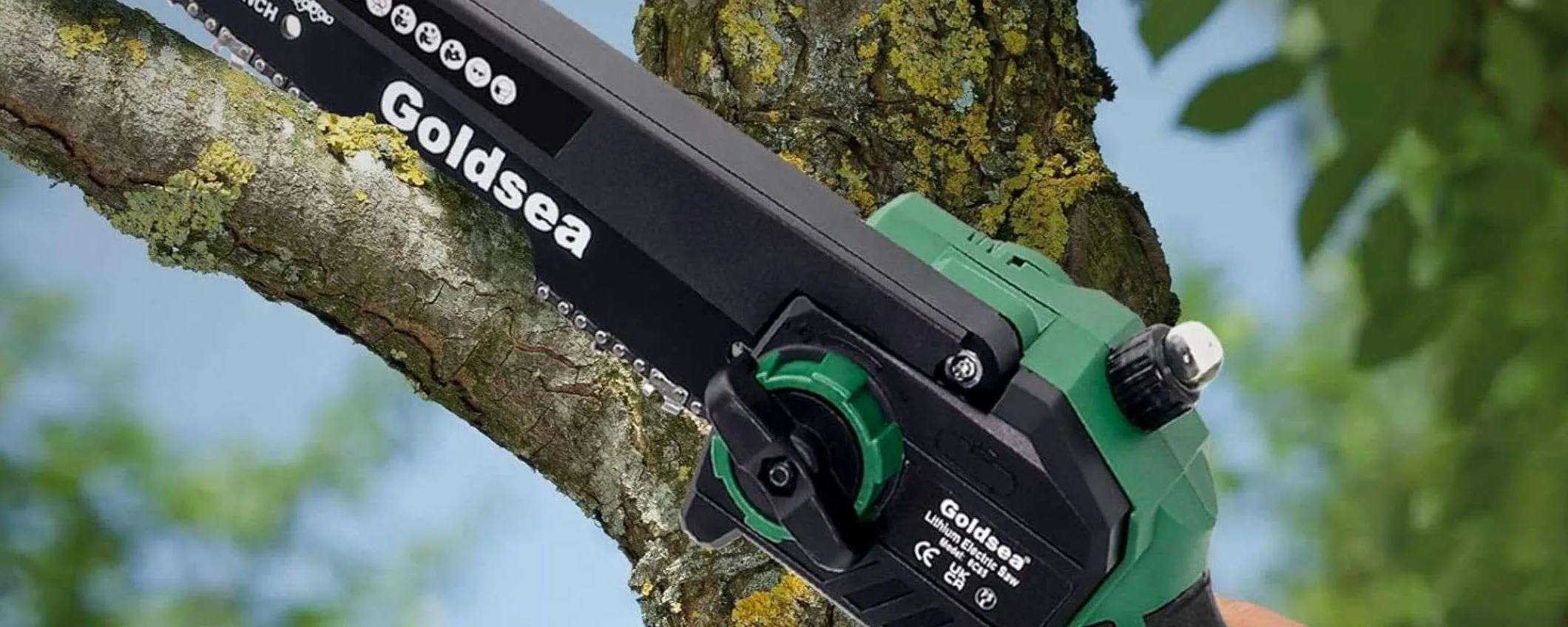Mini motosega a batteria: l'acquisto PERFETTO per il tuo giardino (sconto Amazon)