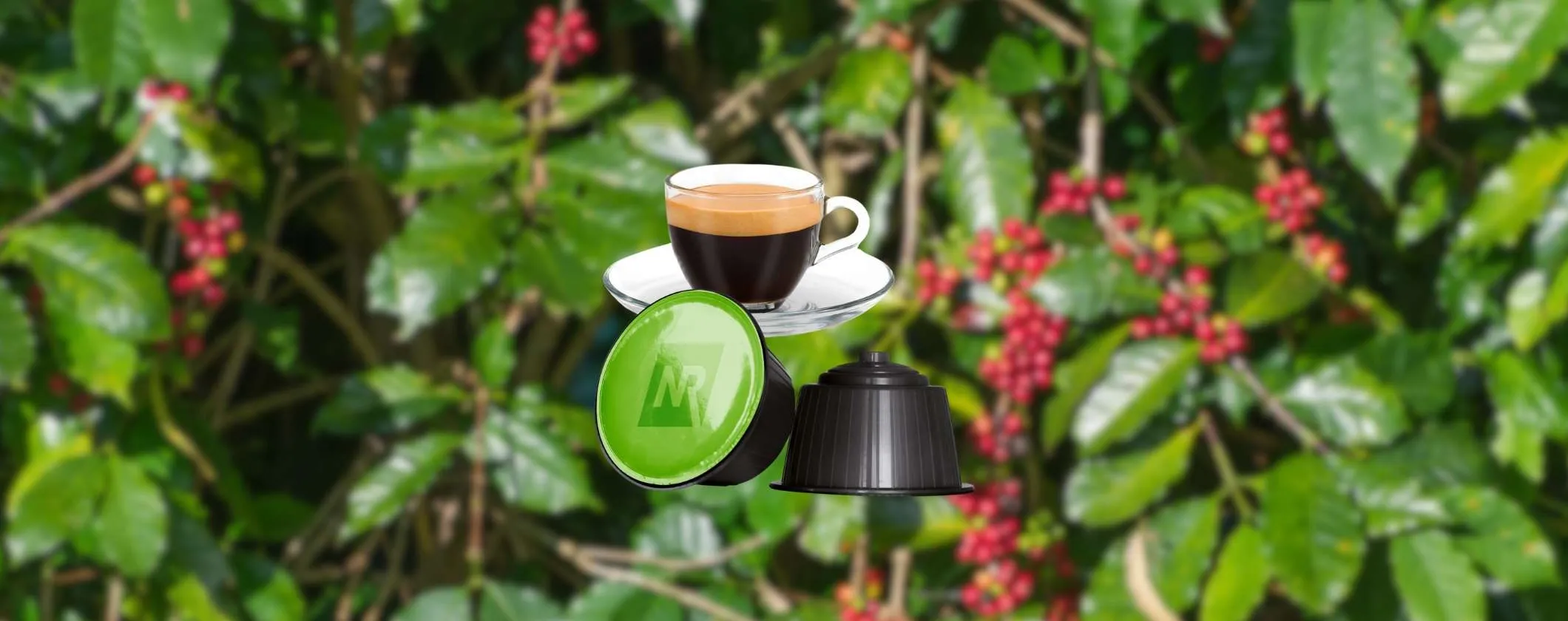 OFFERTA Capsule Caffè compatibili Dolce Gusto Espresso Bar
