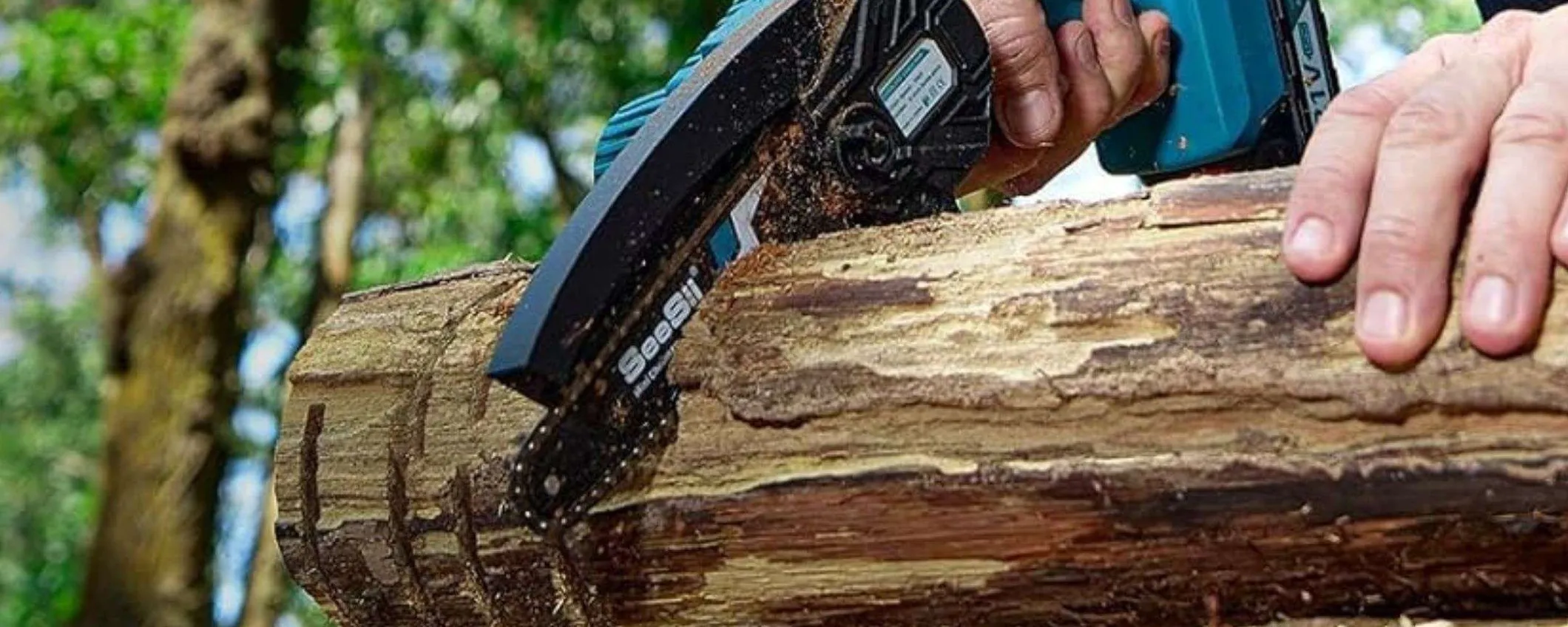 Con 35,99€ prendi questa BESTIA di motosega con 2 batterie e custodia (-40%)