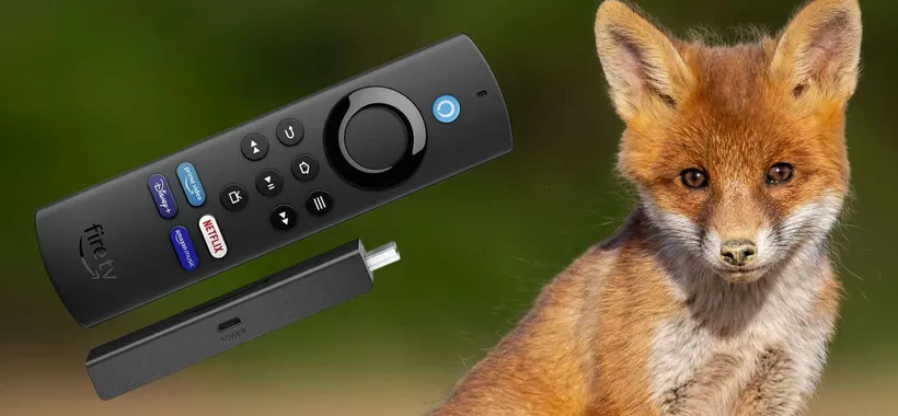 Fire TV Stick Lite a 19€ non solo smart TV: trucchetto per digitale terrestre