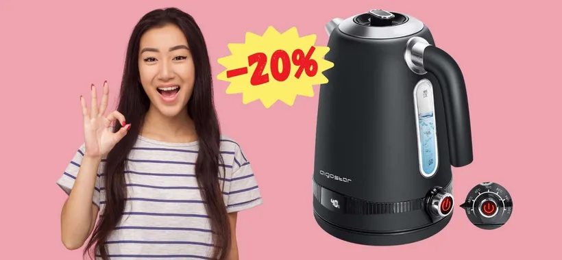 Bollitore elettrico con temperatura regolabile a PREZZO WOW