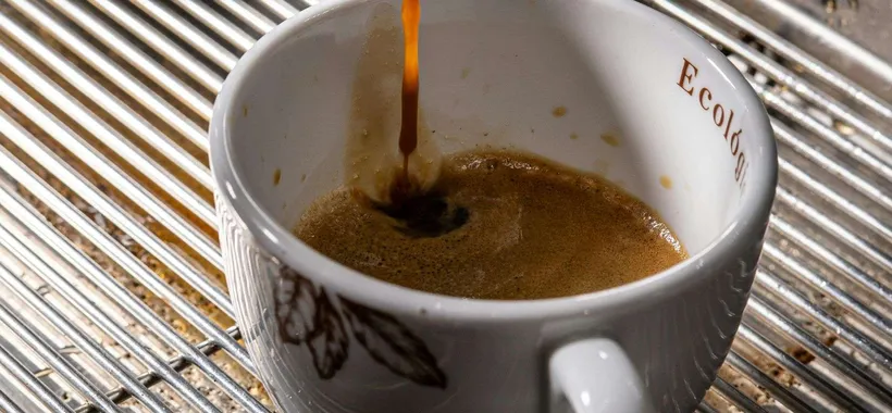 Colpo GROSSO su eBay: Cialde Caffè Borbone a prezzo shock