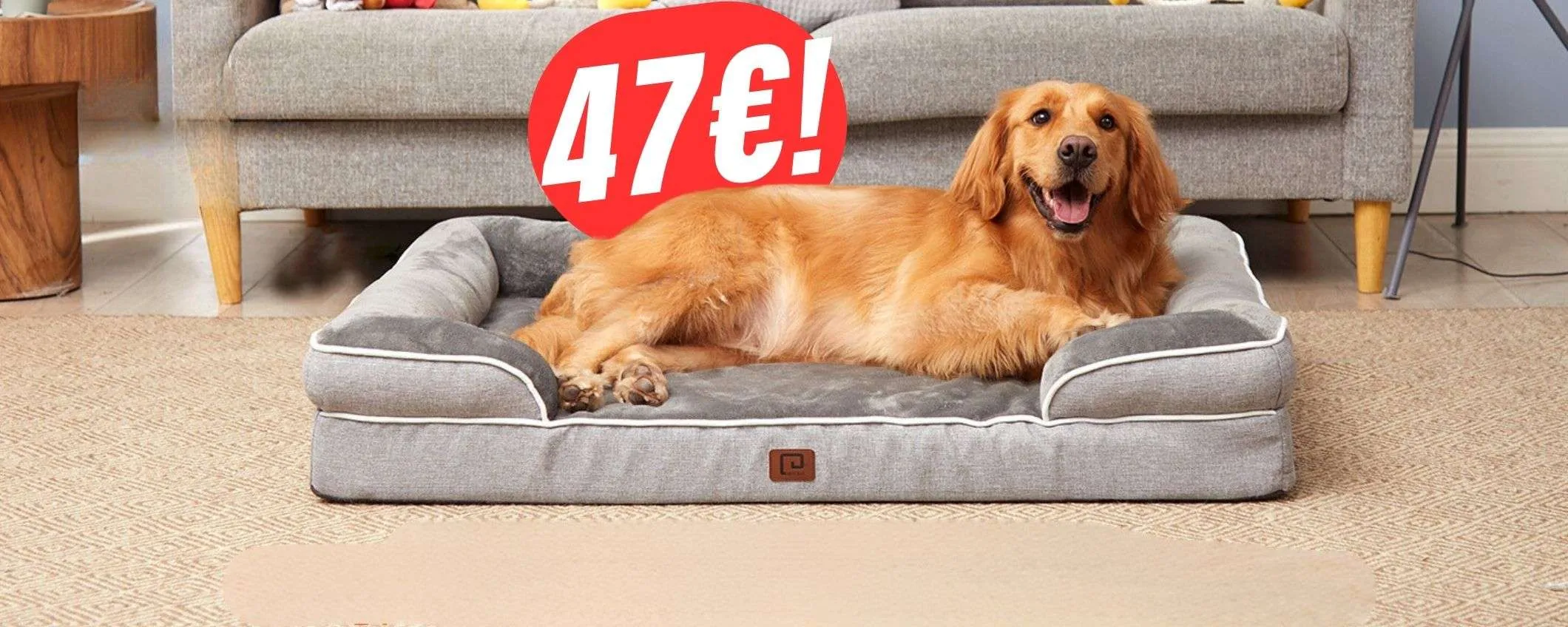 Impermeabile e XXL: la CUCCIA perfetta per il tuo cane precipita a 47€!