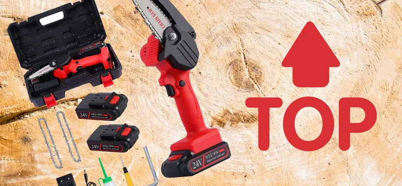 Mini motosega in kit con 2 batterie a 53€: BOMBA Amazon fai da te