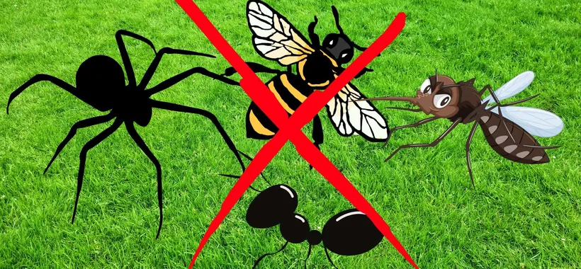 Ragni, zanzare, topi e scarafaggi ADDIO: insetticida in FUORITUTTO su Amazon