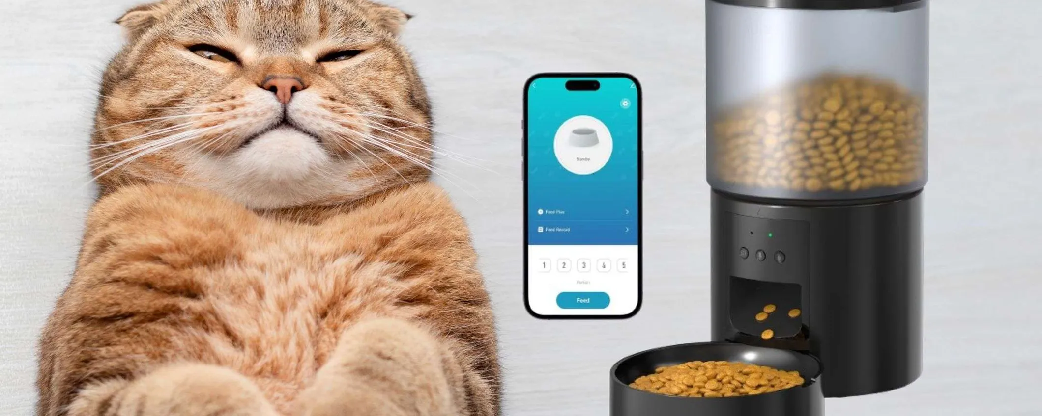 Distributore SMART di cibo: utilissimo, il prezzo su Amazon è WOW (36€)