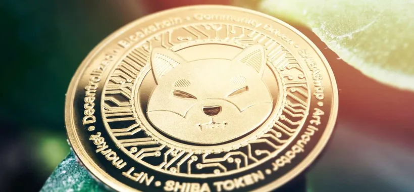 Shiba Inu supera il 3000%, Litecoin e InQubeta attirano grandi investimenti