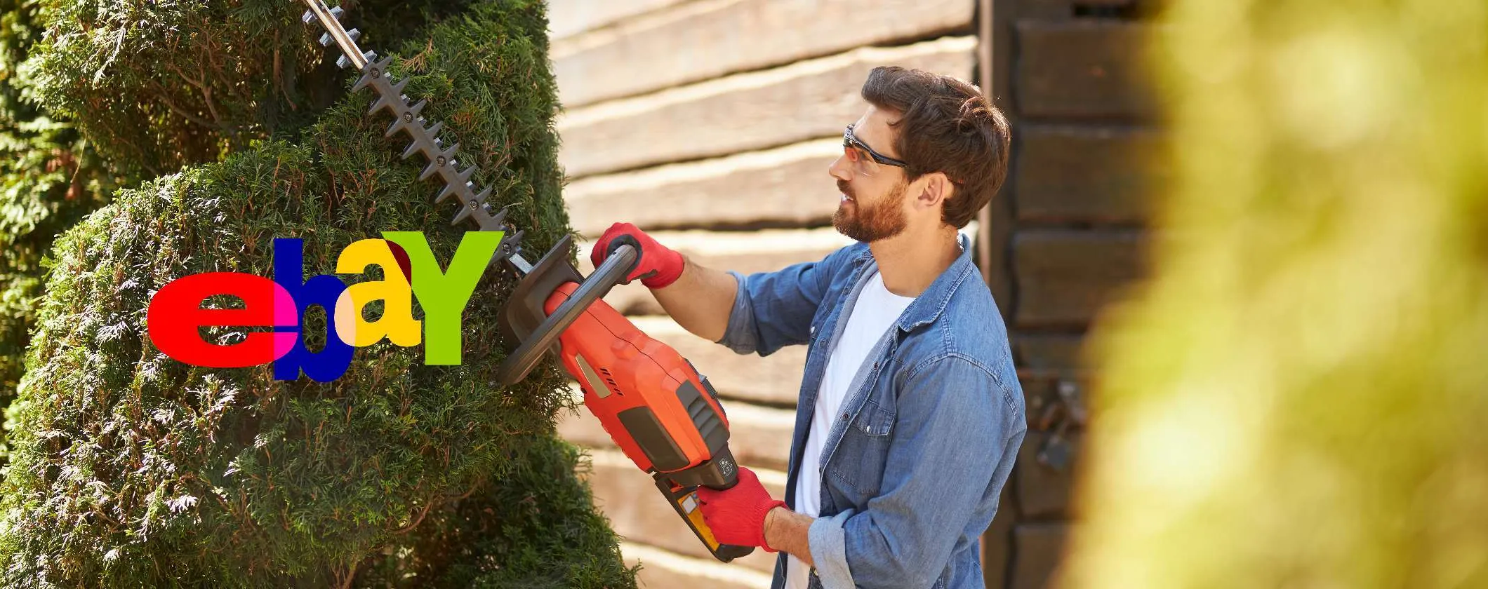 Giardinaggio fai da te? Con queste offerte eBay risparmi i costi del giardiniere