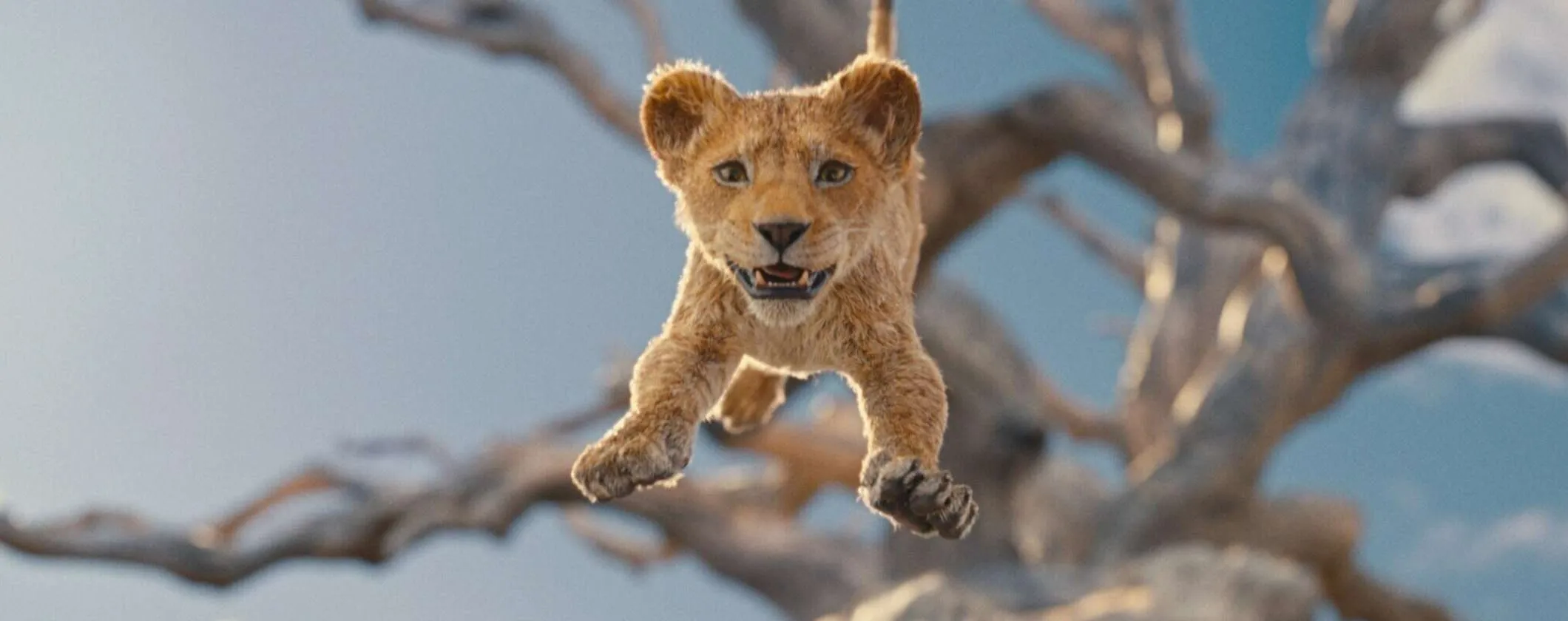 Mufasa: Il Re Leone presto disponibile in esclusiva su Disney+