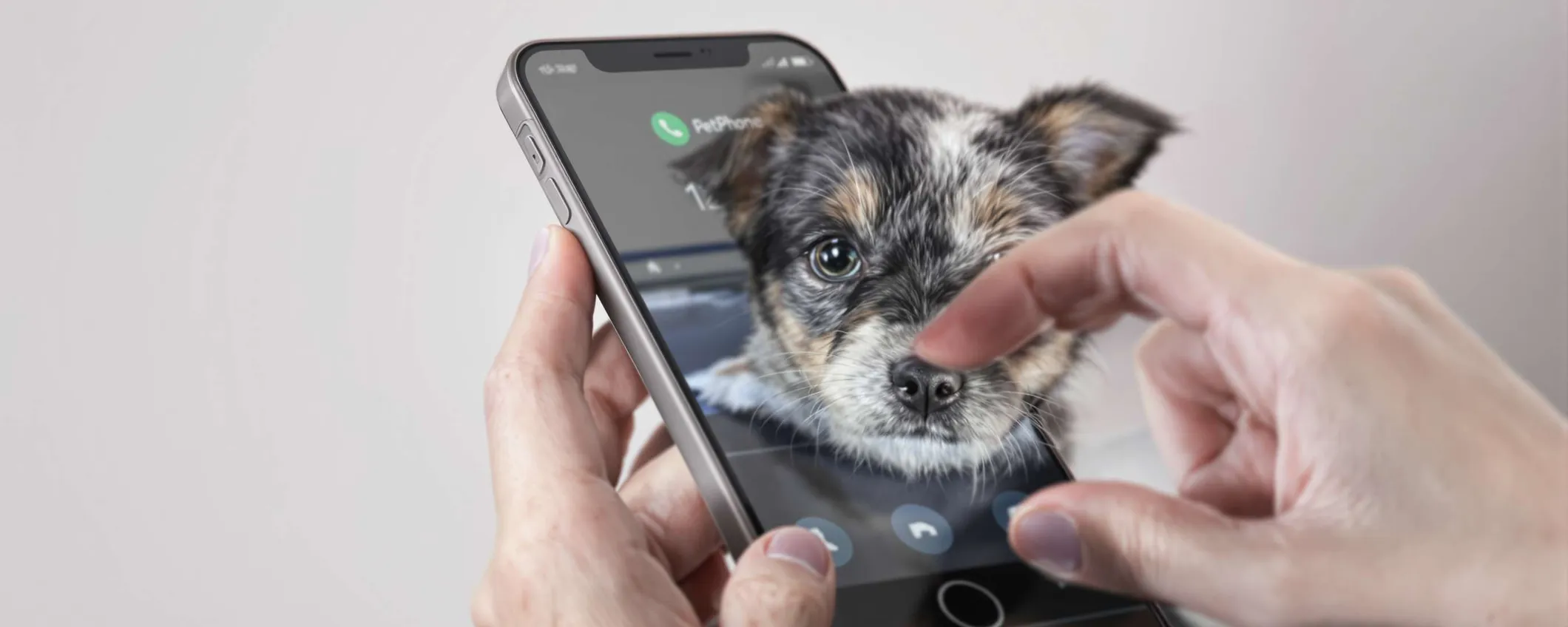 Il tuo cane può chiamarti al telefono? Con PetPhone ora è realtà