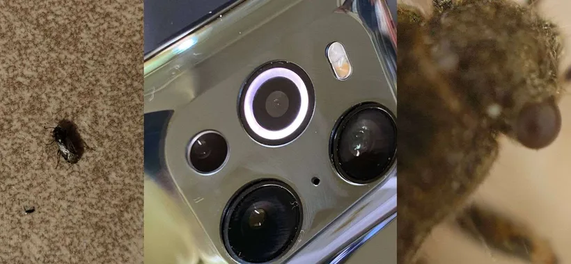 OPPO Find X3 Pro come microscopio: provato in laboratorio