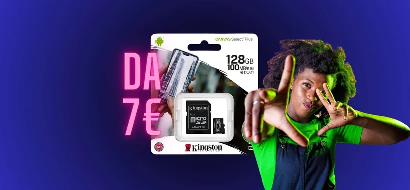 SVUOTATUTTO STORAGE su eBay: MicroSD Kingston da soli 7€: