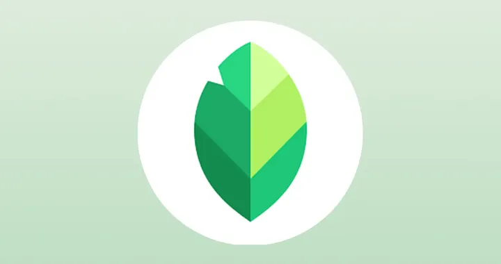 Google aggiorna Snapseed con due nuovi strumenti per migliorare gli scatti