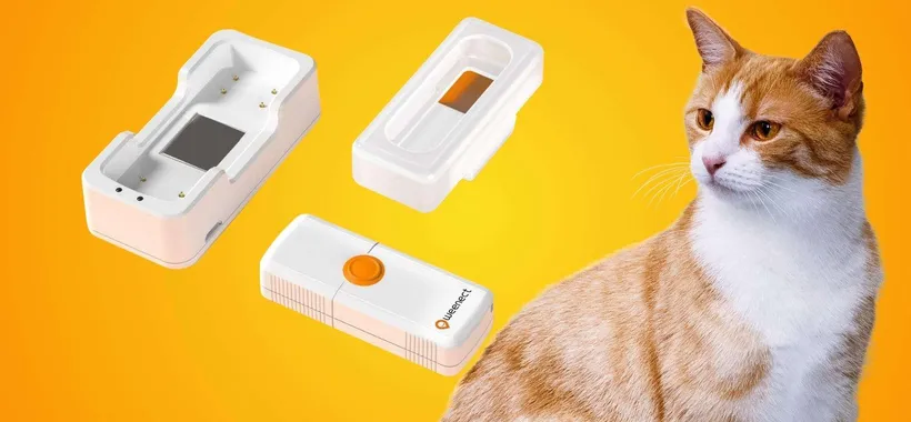 Anche il gatto è SMART, con questo collare sai sempre dov'è