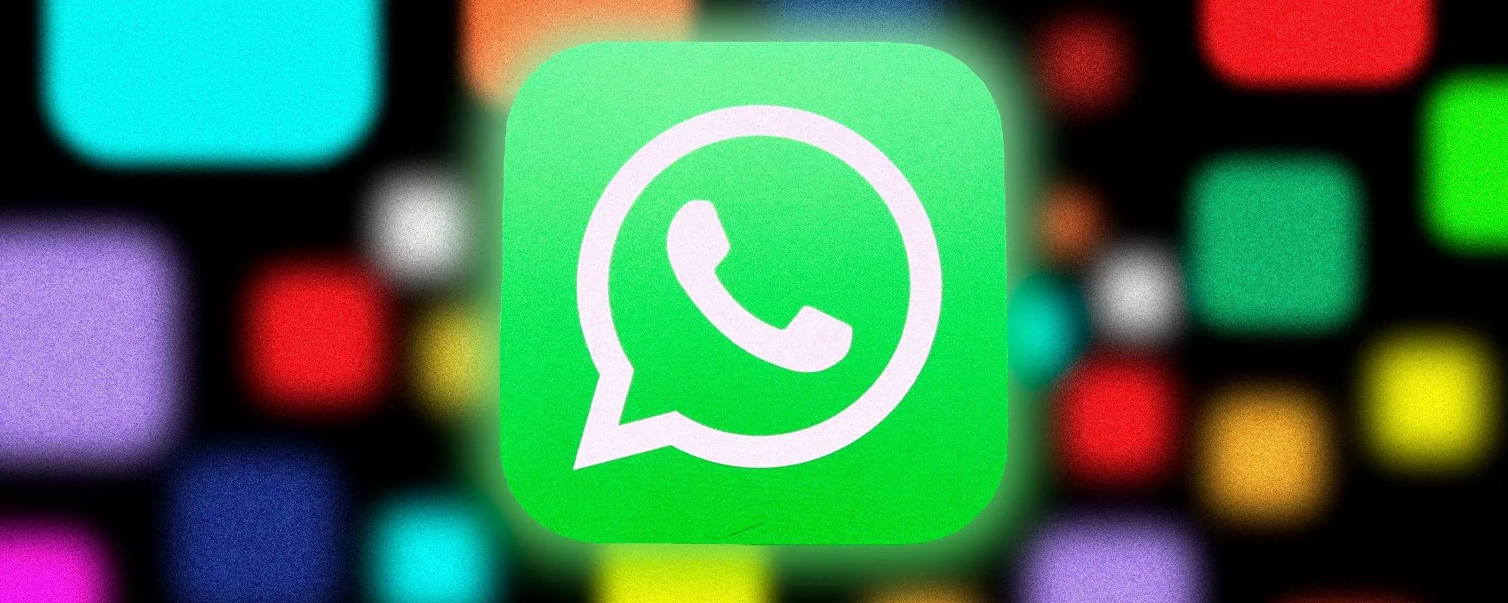 Su WhatsApp arrivano le foto animate: cosa sono e come usarle