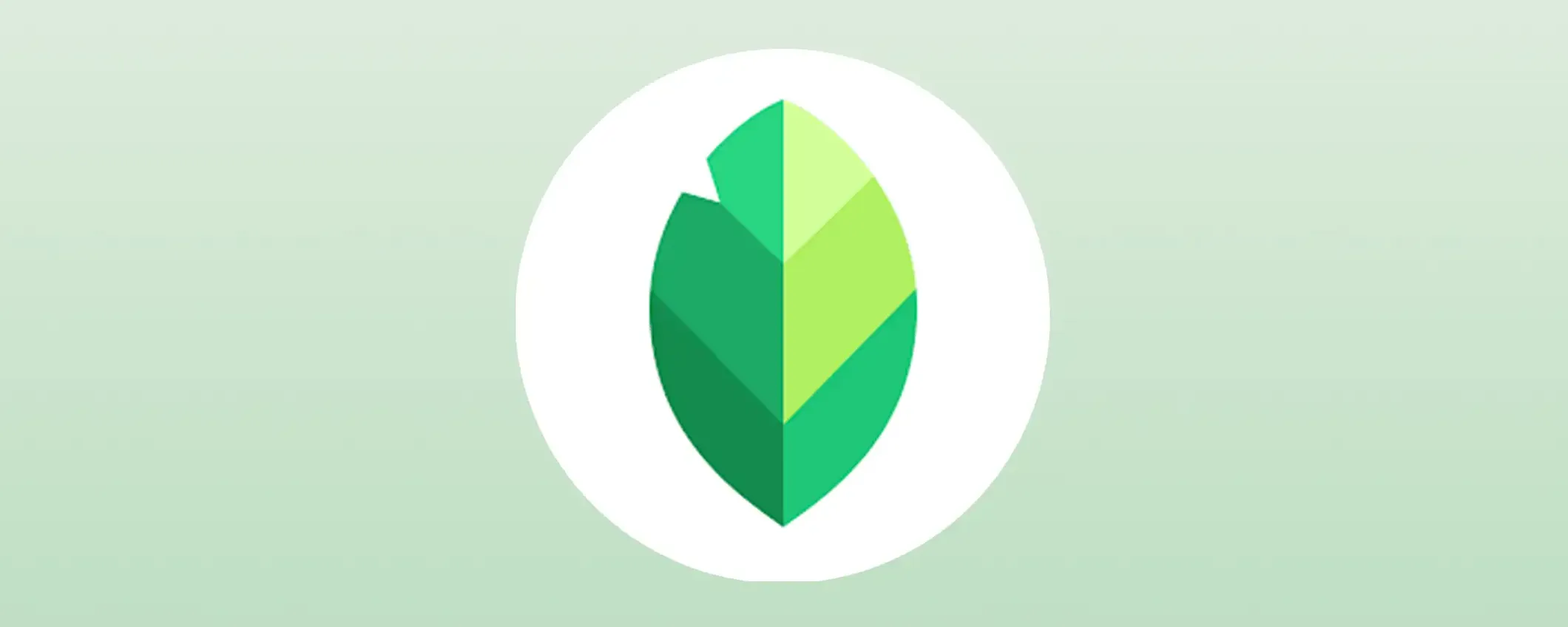 Google aggiorna Snapseed con due nuovi strumenti per migliorare gli scatti