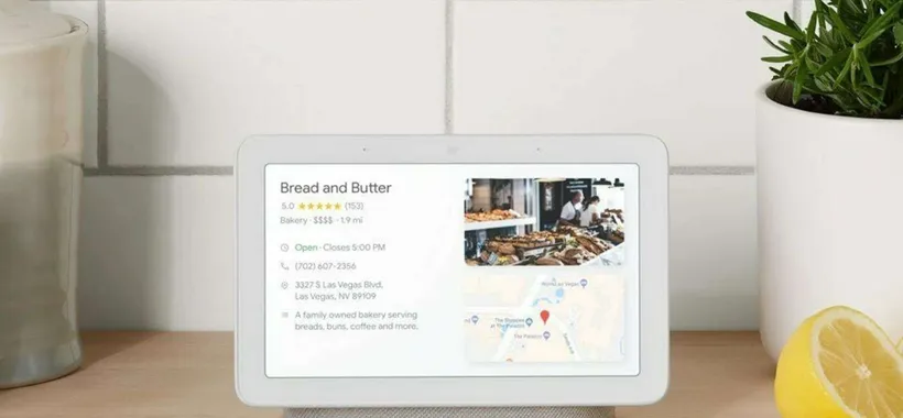 Nest Hub (con Netflix) a prezzo stracciato su eBay