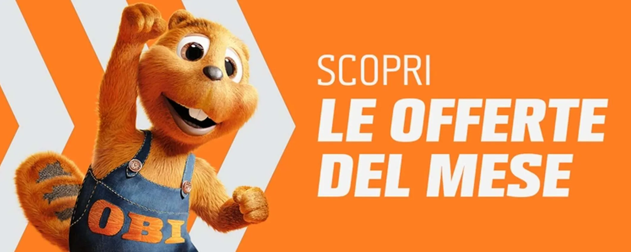 Volantino OBI, ecco i super sconti su fai da te e giardinaggio