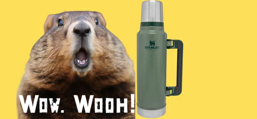 Bevande Perfette per 40 Ore con la Stanley Thermos 1.4L: affare su Amazon
