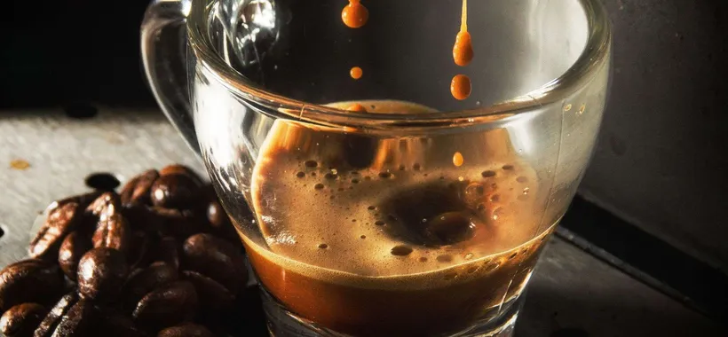 Caffè in capsule compatibile Nespresso: FUORITUTTO Amazon assurdo