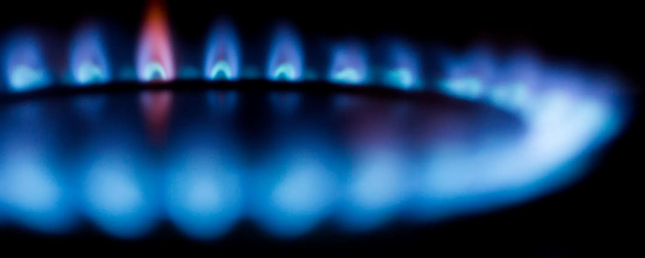 Offerta luce e gas a prezzo fisso: le tariffe competitive di Octopus